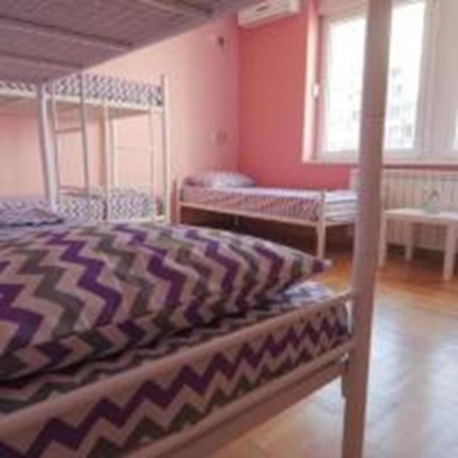 Stella Di Notte Vip Hostel Belgrado Buitenkant foto